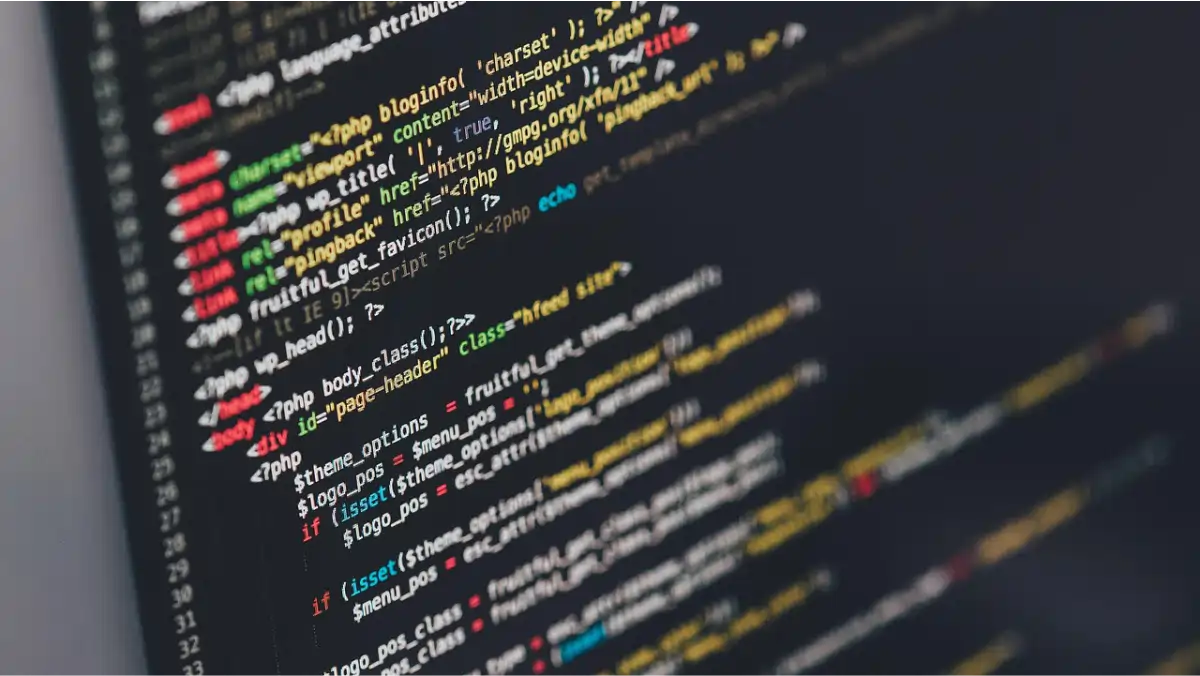 desarrollador web a la medida