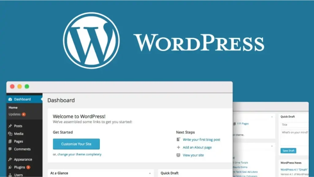 desarrollador wordpress