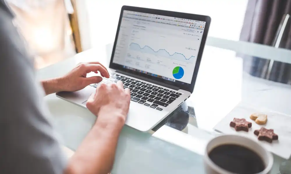 especialista en seo